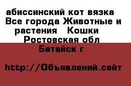 абиссинский кот вязка - Все города Животные и растения » Кошки   . Ростовская обл.,Батайск г.